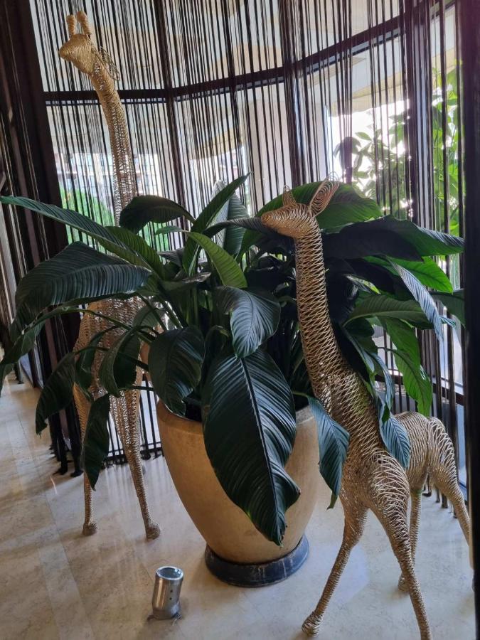 Royal Beach Apartment Barcello G Sunny Beach Dış mekan fotoğraf